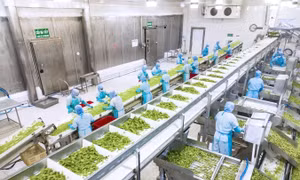 Công nghệ chế biến, đóng gói và bảo quản tạo đòn bẩy nâng tầm nông sản Việt