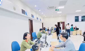 Quảng Ninh: Đẩy nhanh tiến trình chuyển đổi số