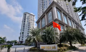 Treo cờ vào các dịp lễ Tết.