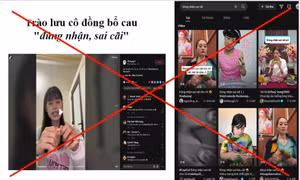 Trào lưu bổ cau đúng nhận sai cãi từng lan truyền mạnh trên mạng xã hội TikTok.