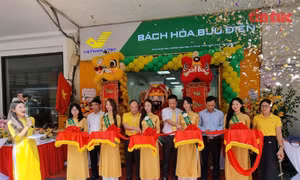 Mô hình truyền thống sang phục vụ đa năng.