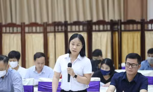 Việc làm tăng, rút BHXH một lần giảm
