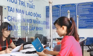 Hướng dẫn thu bảo hiểm xã hội đối với lao động nước ngoài