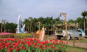 Lễ hội hoa xuân thu hút du khách