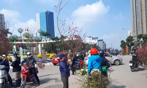 Mua nhanh, bán vội sáng 30 tháng Chạp tại chợ hoa Tết lớn nhất Hà Nội