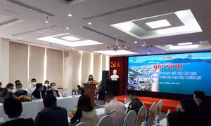Kết nối du lịch Hà Nội – Bình Định trong giai đoạn bình thường mới
