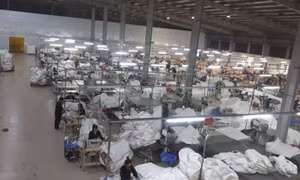 Ngành BHXH tập trung vào công tác thu những tháng cuối năm
