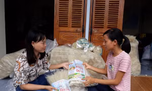 Nhiều mô hình 'Phụ nữ thực hiện an toàn thực phẩm' phát huy hiệu quả