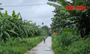 Xã đảo Minh Châu hướng tới xây dựng nông thôn mới gắn với du lịch sinh thái