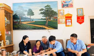 Các tổ xung kích tại xã phường Hà Nội rà soát, hỗ trợ người cao tuổi già yếu làm giấy ủy quyền.