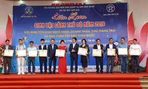 Gia tăng giá trị sinh vật cảnh Thủ đô