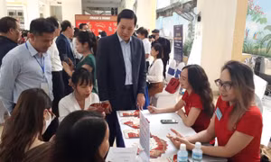 Quý I/2023, thị trường lao động tiếp tục đà phục hồi