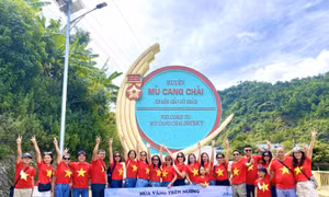 Cung đường Tây Bắc - Mù Cang Chải hút khách mùa lúa chín
