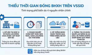 Thiếu năm đóng bảo hiểm xã hội trên VssID xử lý như thế nào?