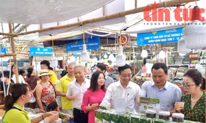 Hà Nội tổ chức lễ hội hoa cây cảnh, OCOP và đặc sản vùng miền năm 2026