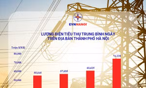 EVNHANOI khuyến nghị khách hàng nên sử dụng điện tiết kiệm trong mùa hè 2022