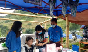 Vì sao khi cài Bluezone, điện thoại lại báo không tương thích?