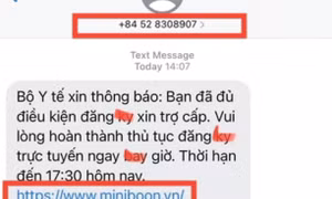 Website giả mạo gia tăng nhiều phương thức lừa đảo tinh vi