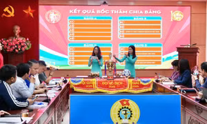 17 đội bóng sẽ tranh tài trong Cúp báo Lao động Thủ đô 2025
