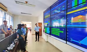 Triển khai hỗ trợ cho các doanh nghiệp địa phương trong chuyển đổi số