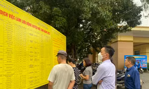 Thị trường lao động khởi sắc nhưng một số ngành nghề tiếp tục giảm lao động do thiếu đơn hàng