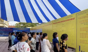 Kết nối việc làm tại huyện miền núi Ba Vì năm 2023