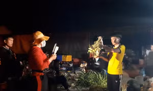 Dịch COVID-19 thúc đẩy thương mại điện tử, thanh toán số