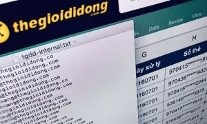 Vụ lọt thông tin thẻ ngân hàng tại Thế giới Di động: Phát tán dữ liệu thông tin cá nhân sẽ bị phạt như thế nào?