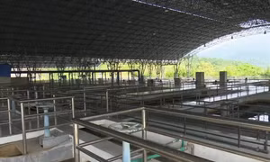 'Lỗ hổng' khiến nguồn nước sạch sông Đà bị nhiễm dầu