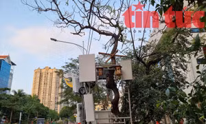 Một điểm phát sóng tăng cường gần điểm bắn pháo hoa và nhiều chùa có đông người đi lễ đầu năm trên tuyến phố Lạc Long Quân, Hà Nội
