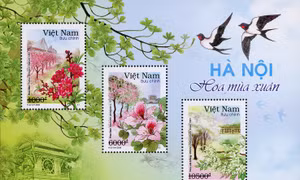Giới thiệu bộ tem ‘Hà Nội 12 mùa hoa – Bộ 1’