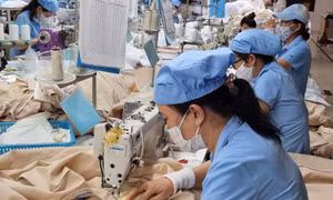 Lý giải tỷ lệ đóng bảo hiểm xã hội cao, mức hưởng cao nhưng lương hưu thấp