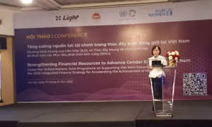 Tăng cường nguồn lực tài chính trong nước để thúc đẩy bình đẳng giới tại Việt Nam