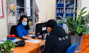 Tư vấn việc làm sớm trở lại thị trường lao động