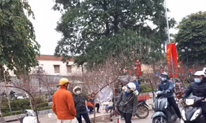 Mua nhanh bán vội tại chợ hoa Tây Hồ (Hà Nội) ngày 29 Tết