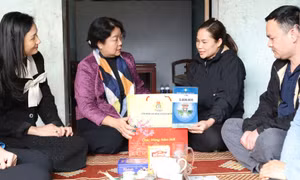 Công đoàn Hà Nội tổ chức các hoạt động thiết thực nhân kỷ niệm Ngày Quốc tế phụ nữ 8/3