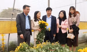 Hà Nội: Tiếp tục nhân rộng mô hình xã nông thôn mới nâng cao
