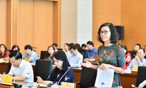 Thủ tướng phê chuẩn công tác nhân sự tại BHXH Việt Nam và UBND tỉnh Long An