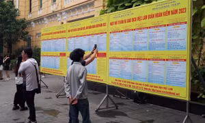 Xu hướng nâng chất lượng trên thị trường việc làm
