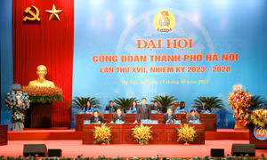 Sớm có giải pháp để hạn chế thấp nhất tình trạng nợ đọng, trốn đóng BHXH