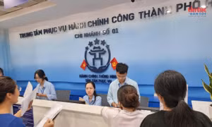 Dịch vụ công trực tuyến chuyển từ 'có' sang 'dùng được'