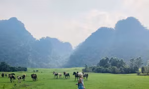 Tạo dựng sản phẩm đặc trưng thu hút khách du lịch nội địa