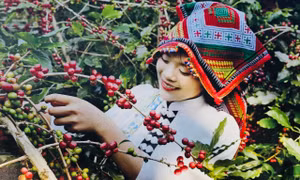 Xây dựng thương hiệu từ cây cà phê gắn với phát triển du lịch cộng đồng