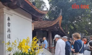 Du lịch giữ nhịp tăng trưởng, định hình xu hướng trải nghiệm giá trị