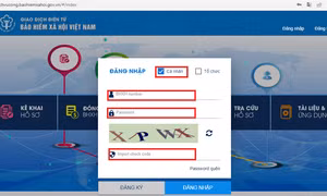 Hướng dẫn cập nhật số điện thoại, e-mail trên ứng dụng VssID