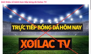 Xôi Lạc TV có nhiều sai phạm liên quan đến vấn đề bản quyền giải Ngoại hạng Anh và các trận đấu bóng đá của đội tuyển Việt Nam.