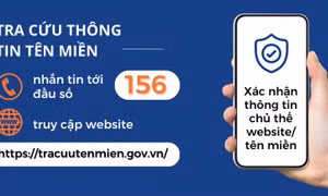 Sử dụng đầu số 156 tra cứu thông tin tên miền, phản ánh cuộc gọi rác