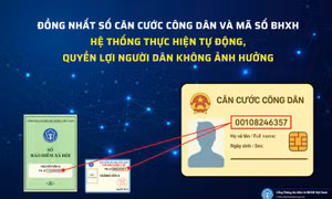 Căn cước công dân thay mã BHXH từ tháng 8, không thủ tục rườm rà