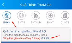 Cách xem thời gian chưa đóng BHXH, bảo hiểm thất nghiệp trên app VssID