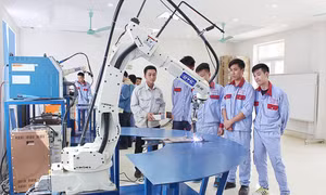 Giáo viên giáo dục nghề nghiệp hạng I cần tiêu chuẩn gì?